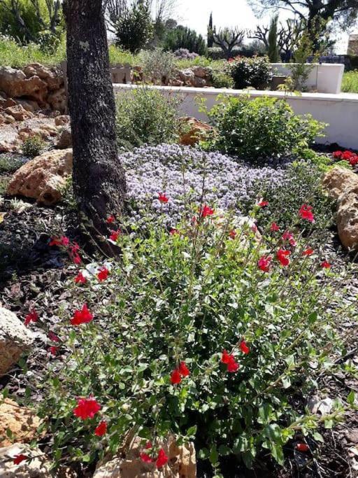 Maison 2 Ou 4 Personnes Jardin Parking Les Amandiers Lorgues Esterno foto