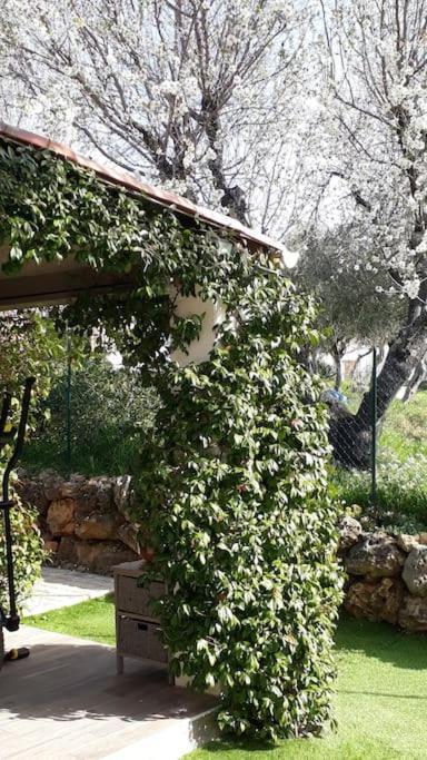 Maison 2 Ou 4 Personnes Jardin Parking Les Amandiers Lorgues Esterno foto